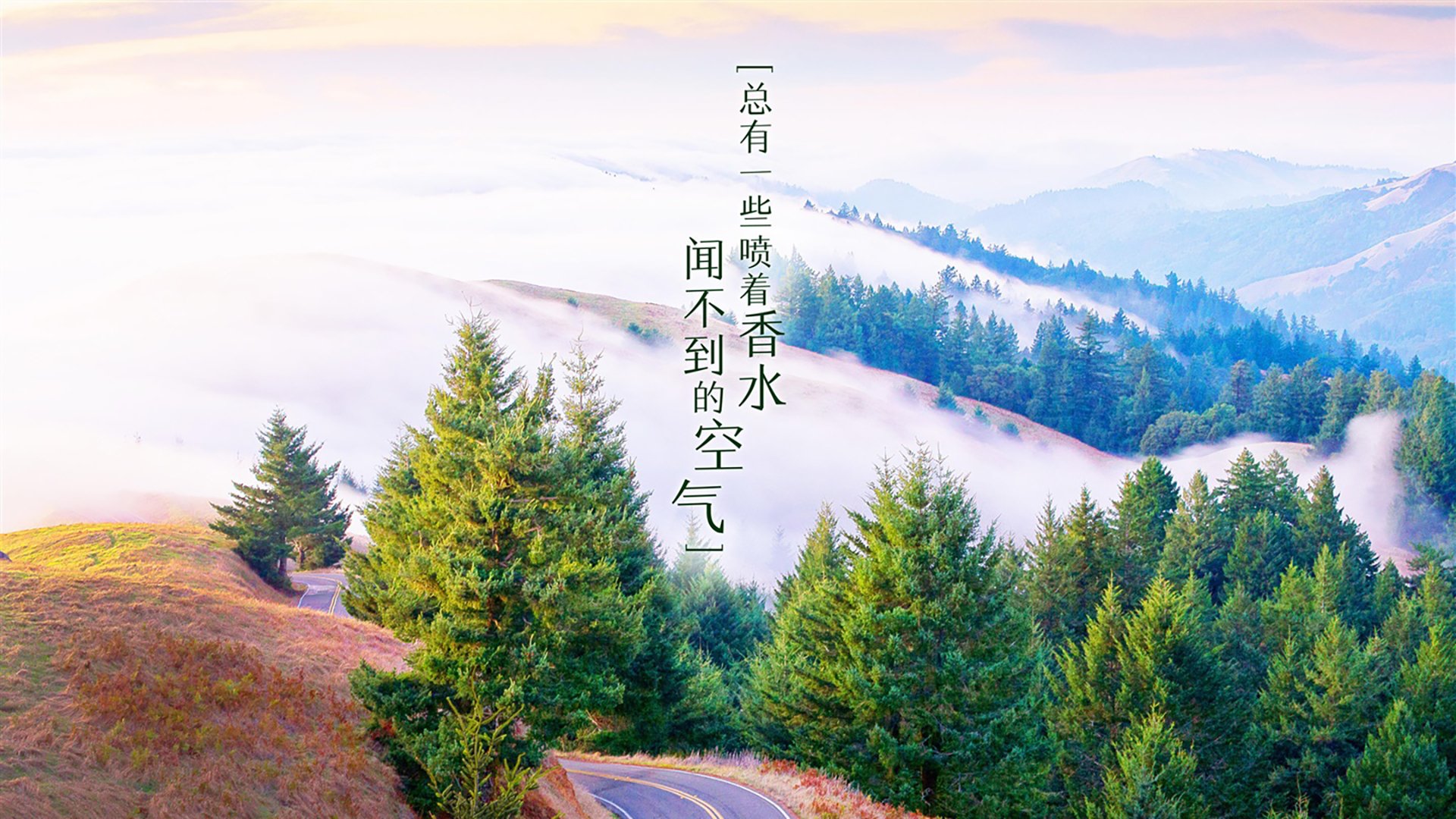 广场舞服饰市场需求增长，广场舞市场分析