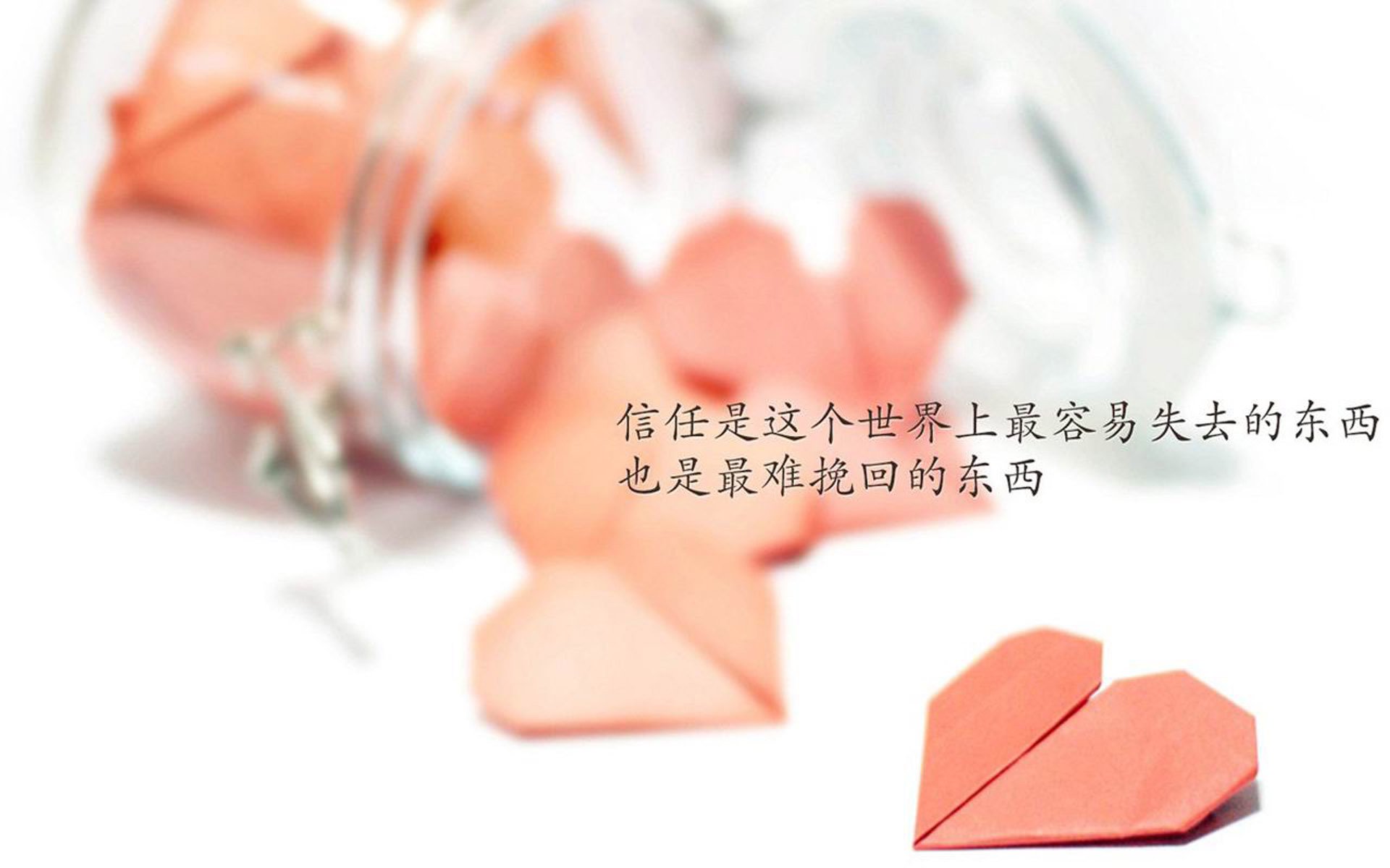 Kysports-青少年足球裁判员能力提升专项基金正式启动，行业加速成熟，青少年足球选拔测试项目