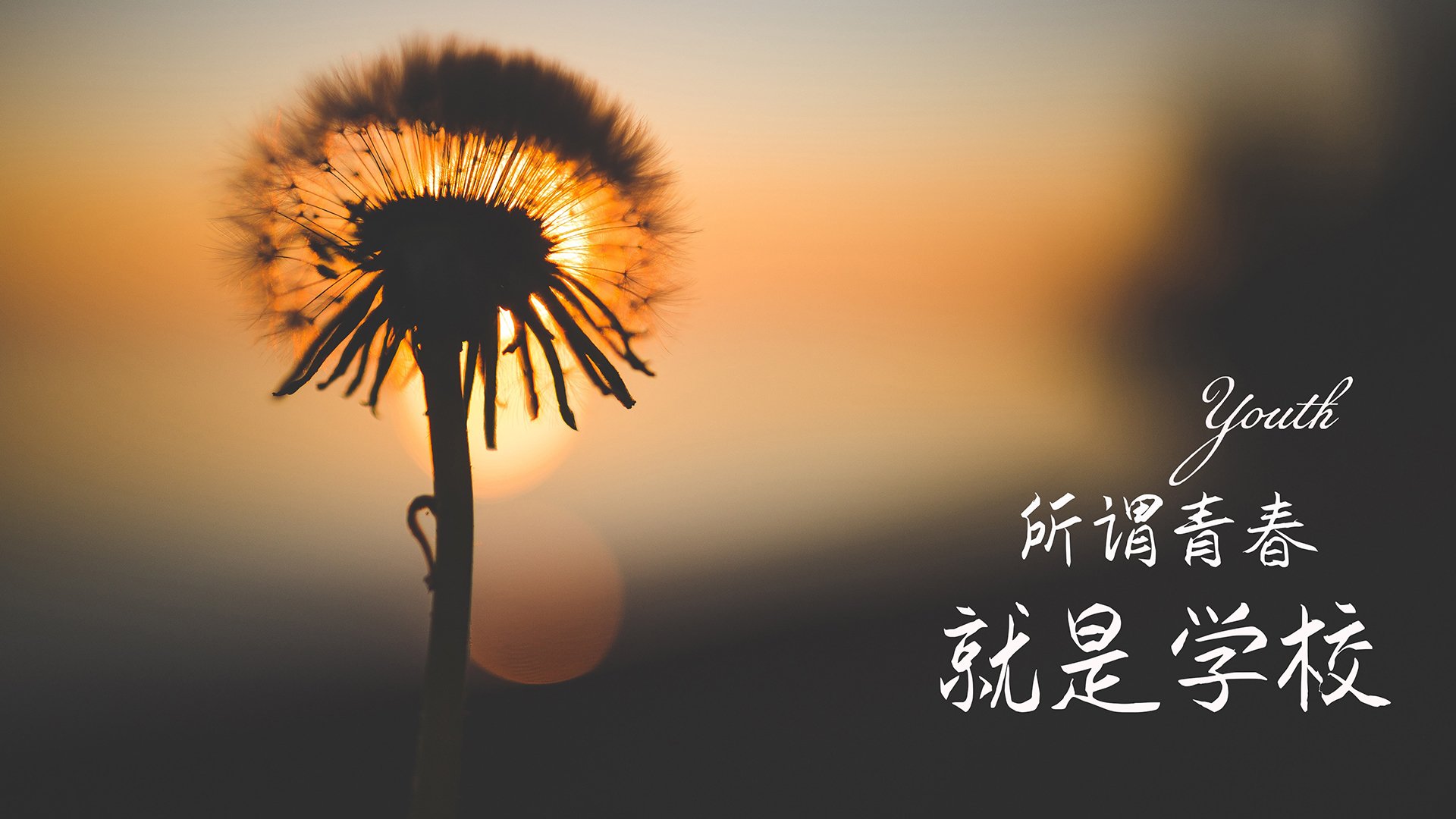 俄罗斯女足头号射手入选全明星阵容，俄罗斯女足主帅