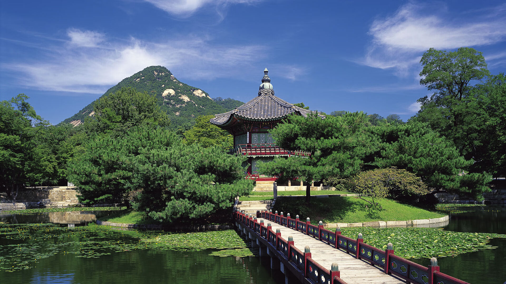开云体育平台APP-斯洛伐克球员备战挪威，期待出色表现，斯洛伐克球星阵容